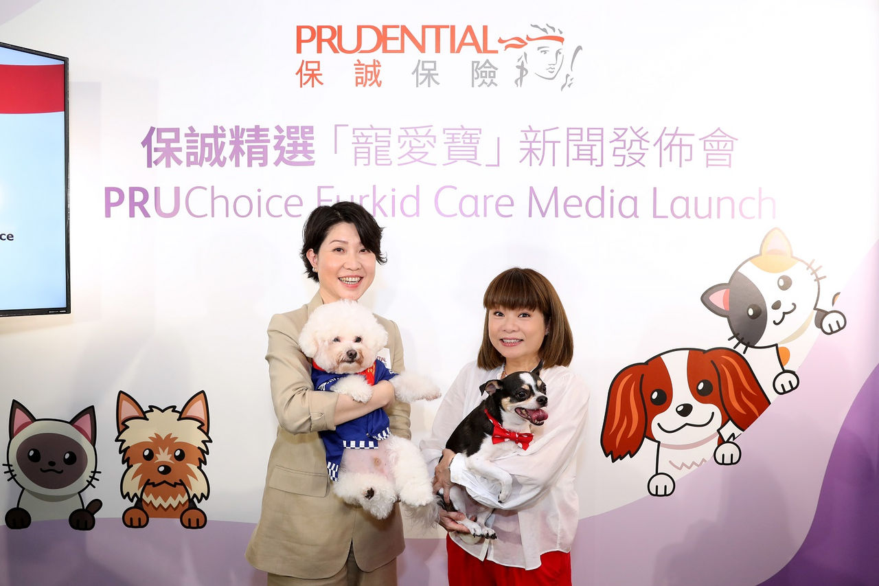 press-release-furkid-kv